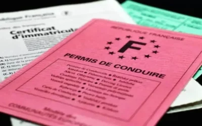 Rétablir le CPF pour le permis de conduire, les auto-écoles sont en colère